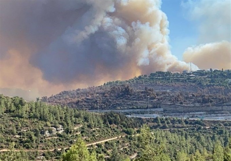 آتش‌سوزی پارک جنگلی کرخه مهار شد/ رفع خطر از سایت نگهداری گوزن زرد ایرانی