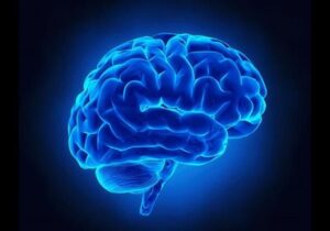 کمک به ایجاد تمرکز با تحریک نقطه آبی در مغز