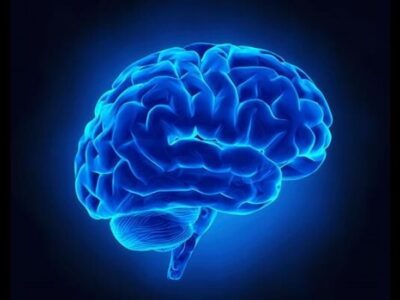 کمک به ایجاد تمرکز با تحریک نقطه آبی در مغز