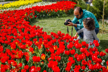 جشنواره گل لاله در اراک