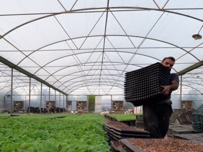توسعه گلخانه‌ها درخوزستان از برنامه مصوب جلوتر رفت
