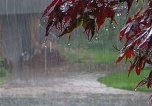 سامانه بارشی تا روز جمعه در خوزستان فعال است/ بارش ۳۶.۶ میلی متری باران در ماهشهر