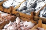 صدور مجوز پرورش ۵۰۰ تن ماهی در قفس در آب‌های ساحلی خوزستان/ ۶۸ میلیارد تومان تسهیلات اعطا شد