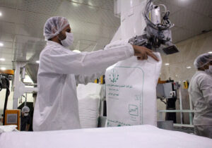 تولید شکر سفید از ظرفیت اسمی ۷۰۰ هزار تن عبور کرد / دکتر ناصری: افزایش بهره‌وری بر پایه دانش هدف‌ صنعت نیشکر در تولید محصولات است