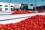احداث کارخانه های رب گوجه فرنگی در خوزستان