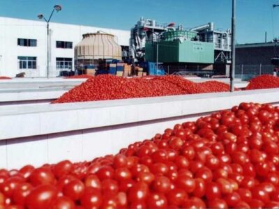 احداث کارخانه های رب گوجه فرنگی در خوزستان