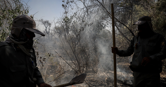 آتش سوزی مزارع در خوزستان علاوه بر ایجاد آلودگی، تنوع زیستی را نیز نابود می‌کند