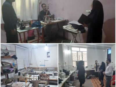 بازدید از طرح های مشاغل خانگی شهرستان مسجد سلیمان