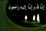 مدیر کل صمت خوزستان در پیامی درگذشت مادر شهید علی هاشمی را تسلیت گفت.